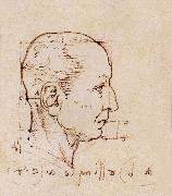 LEONARDO da Vinci, Study of the proportion of the head